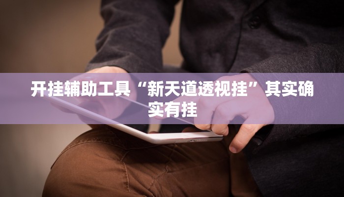 开挂辅助工具“新天道透视挂”其实确实有挂