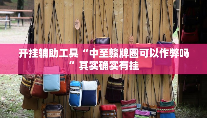 开挂辅助工具“中至赣牌圈可以作弊吗”其实确实有挂