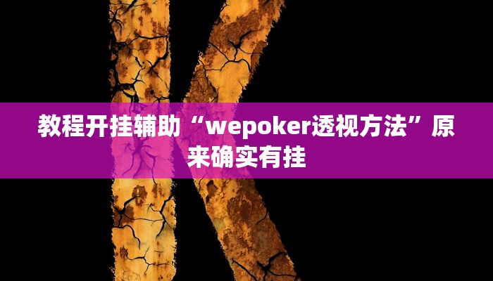 教程开挂辅助“wepoker透视方法”原来确实有挂