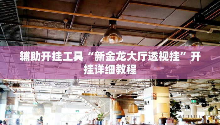 辅助开挂工具“新金龙大厅透视挂”开挂详细教程