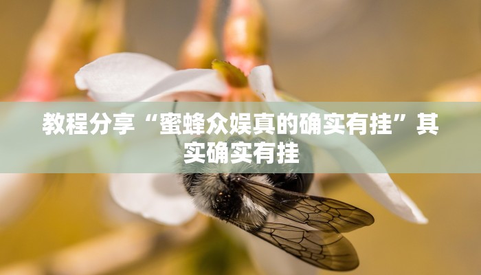 教程分享“蜜蜂众娱真的确实有挂”其实确实有挂
