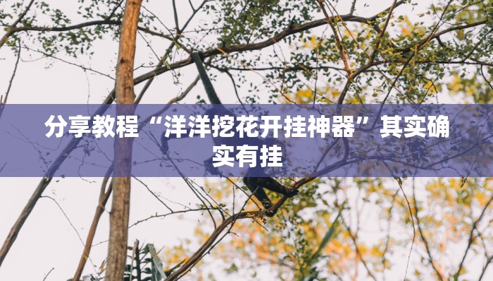 分享实测“奇迹麻将真的有挂”开挂辅助软件教程