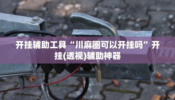 开挂辅助工具“川麻圈可以开挂吗”开挂(透视)辅助神器