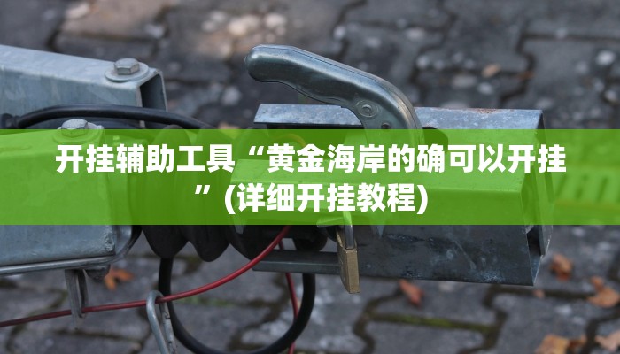 开挂辅助工具“黄金海岸的确可以开挂”(详细开挂教程)