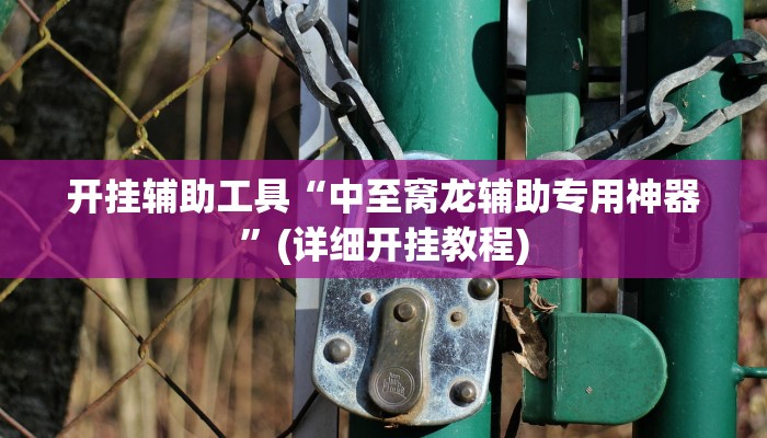开挂辅助工具“中至窝龙辅助专用神器”(详细开挂教程)