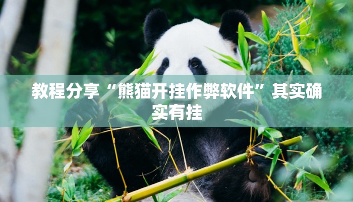 教程分享“陕麻圈辅助器开挂”其实确实有挂