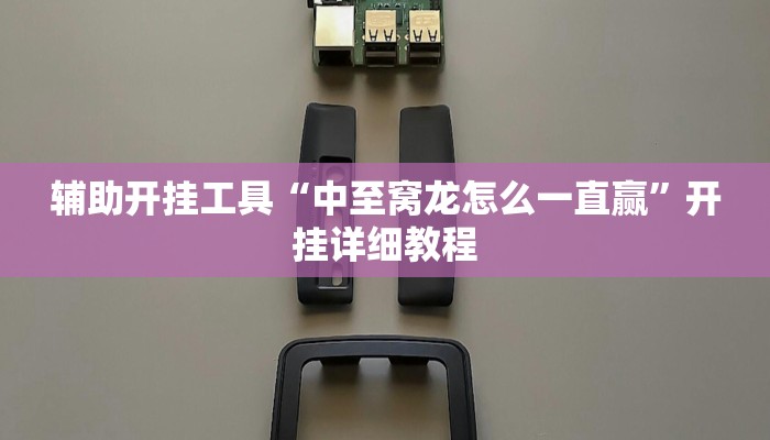 辅助开挂工具“中至窝龙怎么一直赢”开挂详细教程