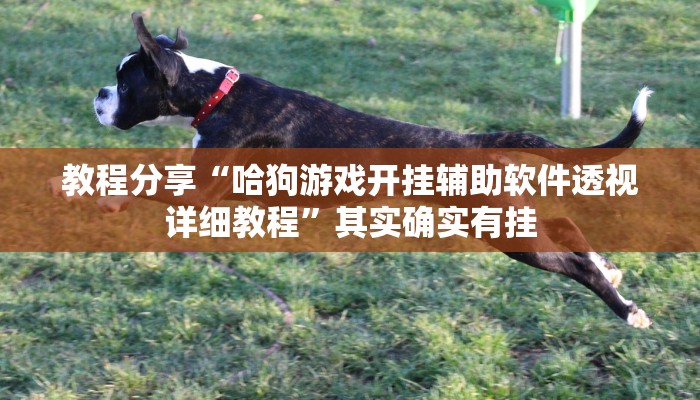 分享实测“wepoker德州出牌规律”开挂辅助软件教程