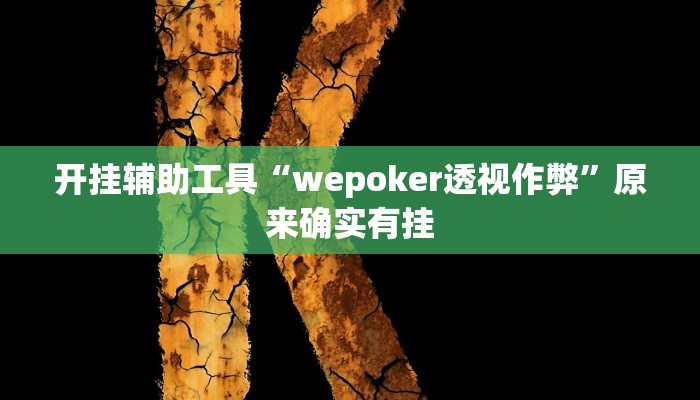 开挂辅助工具“wepoker透视作弊”原来确实有挂