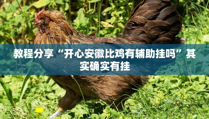 教程分享“开心安徽比鸡有辅助挂吗”其实确实有挂