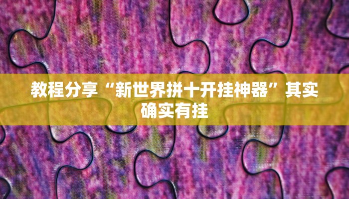 教程分享“新世界拼十开挂神器”其实确实有挂
