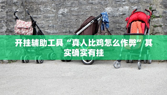 开挂辅助工具“真人比鸡怎么作弊”其实确实有挂