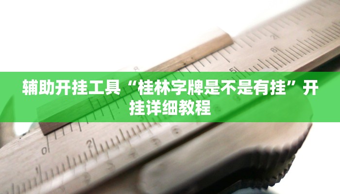 辅助开挂工具“桂林字牌是不是有挂”开挂详细教程 辅助开挂工具“桂林字牌是不是有挂”开挂详细教程