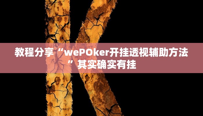 教程分享“wePOker开挂透视辅助方法”其实确实有挂
