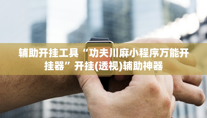 辅助开挂工具“功夫川麻小程序万能开挂器”开挂(透视)辅助神器