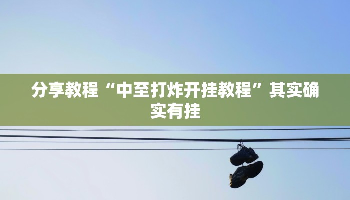 分享教程“中至打炸开挂教程”其实确实有挂