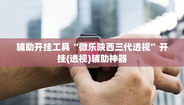 辅助开挂工具“微乐陕西三代透视”开挂(透视)辅助神器