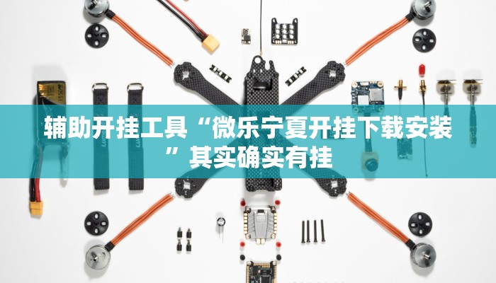 辅助开挂工具“微乐宁夏开挂下载安装”其实确实有挂