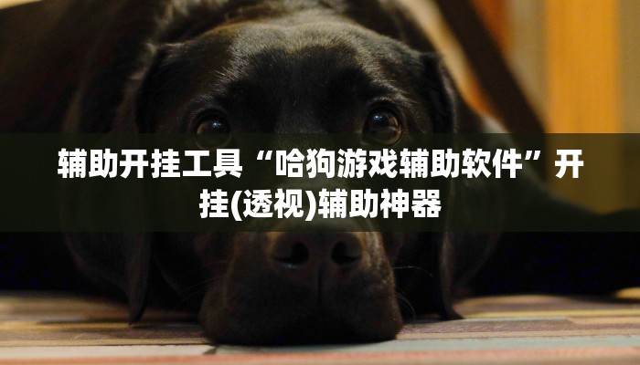 辅助开挂工具“哈狗游戏辅助软件”开挂(透视)辅助神器