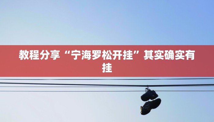 教程分享“宁海罗松开挂”其实确实有挂