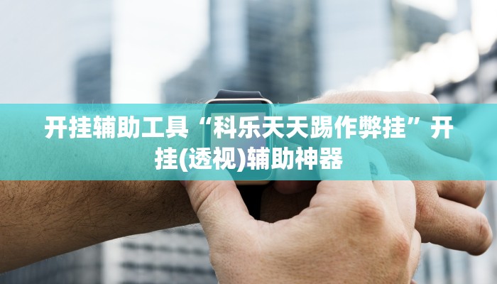 分享实测“吉祥填大坑辅助器通用版”开挂辅助软件教程