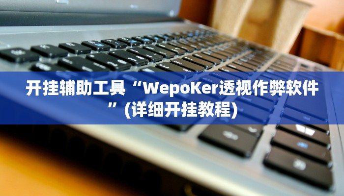 开挂辅助工具“WepoKer透视作弊软件”(详细开挂教程)