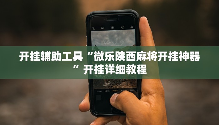 开挂辅助工具“微乐陕西麻将开挂神器”开挂详细教程