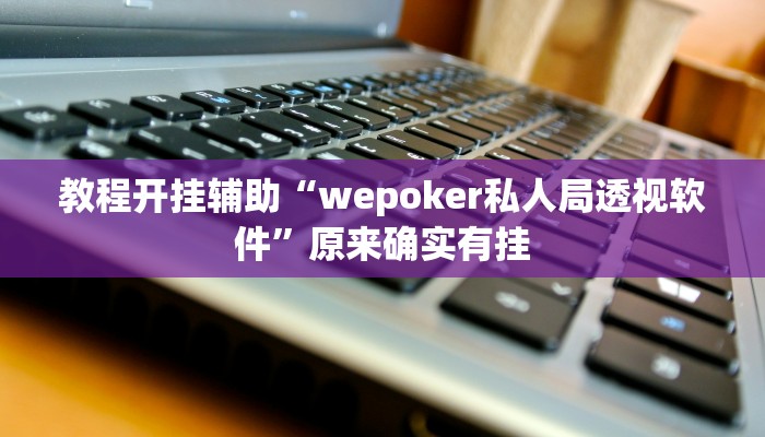 教程开挂辅助“wepoker私人局透视软件”原来确实有挂