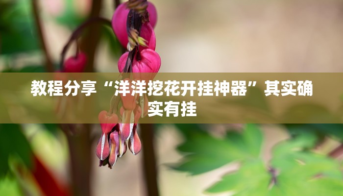 教程分享“洋洋挖花开挂神器”其实确实有挂