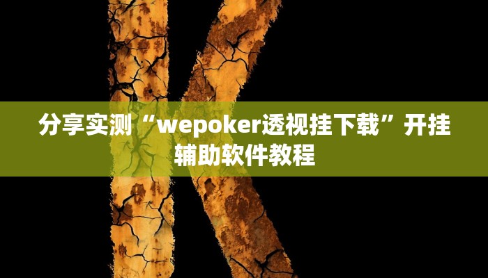 分享实测“wepoker透视挂下载”开挂辅助软件教程
