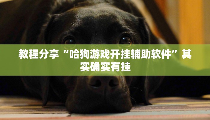 分享实测“欢聚娱乐有没有透视挂”(原来确实是有挂) 