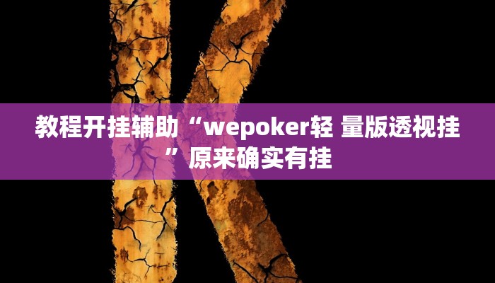 教程开挂辅助“wepoker轻 量版透视挂”原来确实有挂