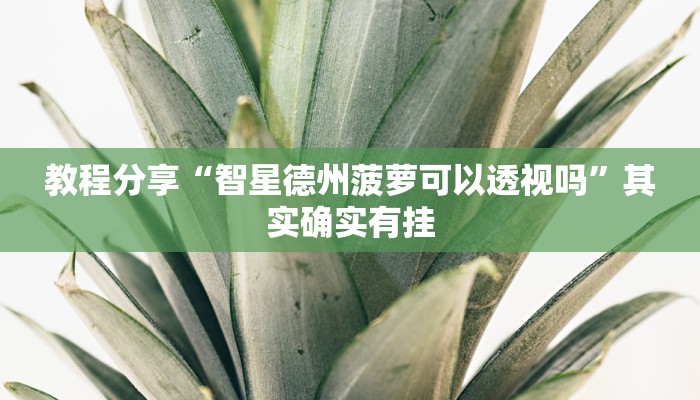 教程分享“智星德州菠萝可以透视吗”其实确实有挂