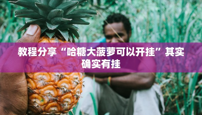 教程分享“哈糖大菠萝可以开挂”其实确实有挂