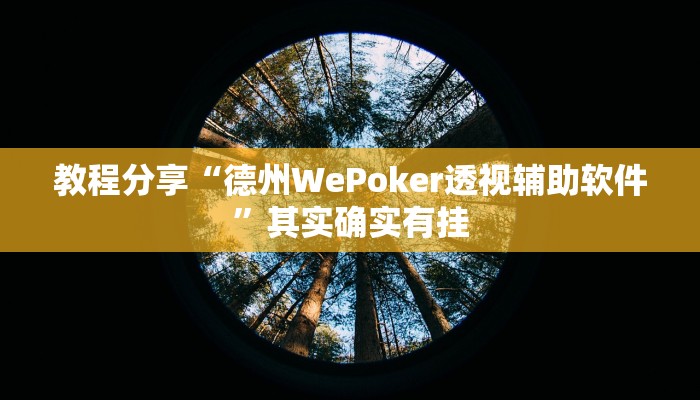 教程分享“德州WePoker透视辅助软件”其实确实有挂
