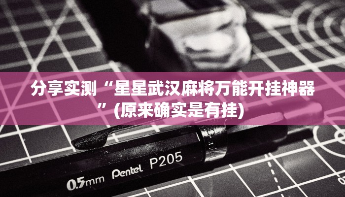 分享实测“星星武汉麻将万能开挂神器”(原来确实是有挂) 