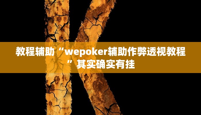 教程辅助“wepoker辅助作弊透视教程”其实确实有挂