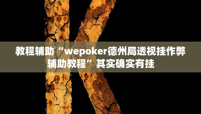 教程辅助“wepoker德州局透视挂作弊辅助教程”其实确实有挂