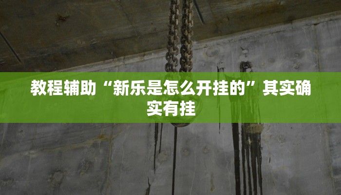 教程辅助“新乐是怎么开挂的”其实确实有挂