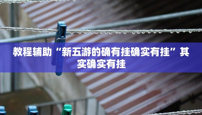教程辅助“新五游的确有挂确实有挂”其实确实有挂