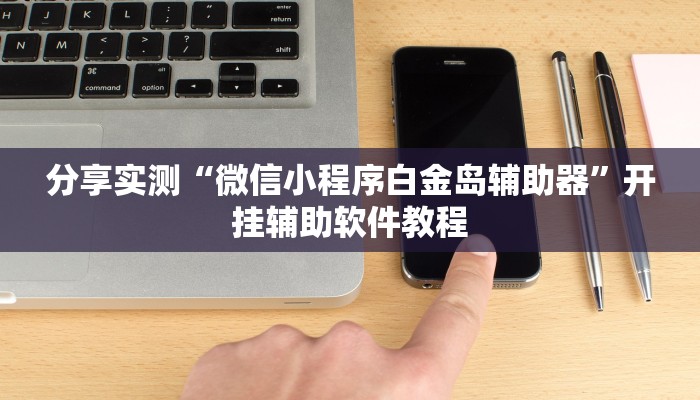 分享实测“微信小程序白金岛辅助器”开挂辅助软件教程