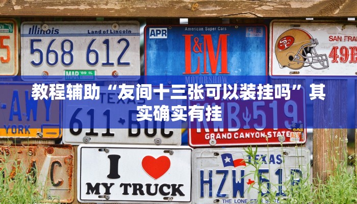 教程辅助“友间十三张可以装挂吗”其实确实有挂