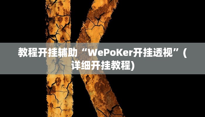 教程开挂辅助“WePoKer开挂透视”(详细开挂教程)
