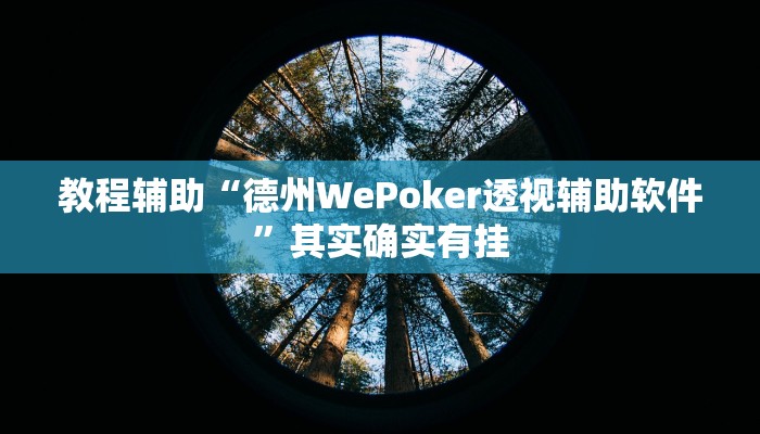 教程辅助“德州WePoker透视辅助软件”其实确实有挂