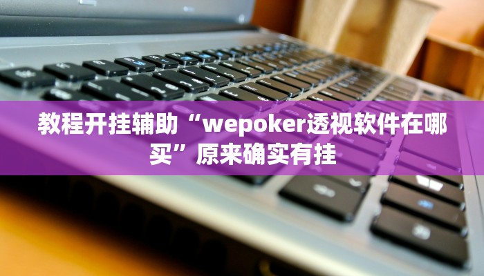 教程开挂辅助“wepoker透视软件在哪买”原来确实有挂