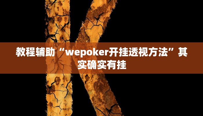 教程辅助“wepoker开挂透视方法”其实确实有挂