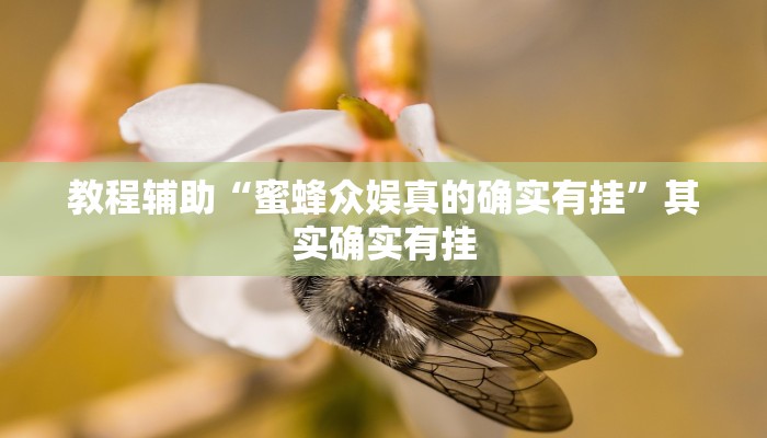 教程辅助“蜜蜂众娱真的确实有挂”其实确实有挂