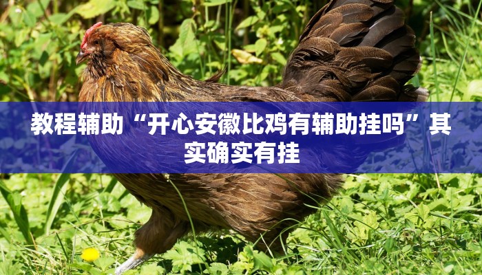 教程辅助“掌酷十三张开挂作弊”其实确实有挂