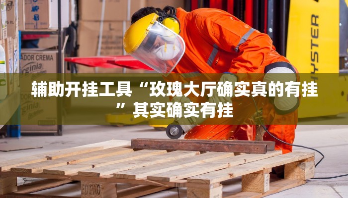 辅助开挂工具“玫瑰大厅确实真的有挂”其实确实有挂