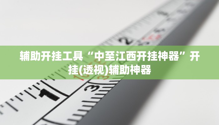 辅助开挂工具“中至江西开挂神器”开挂(透视)辅助神器